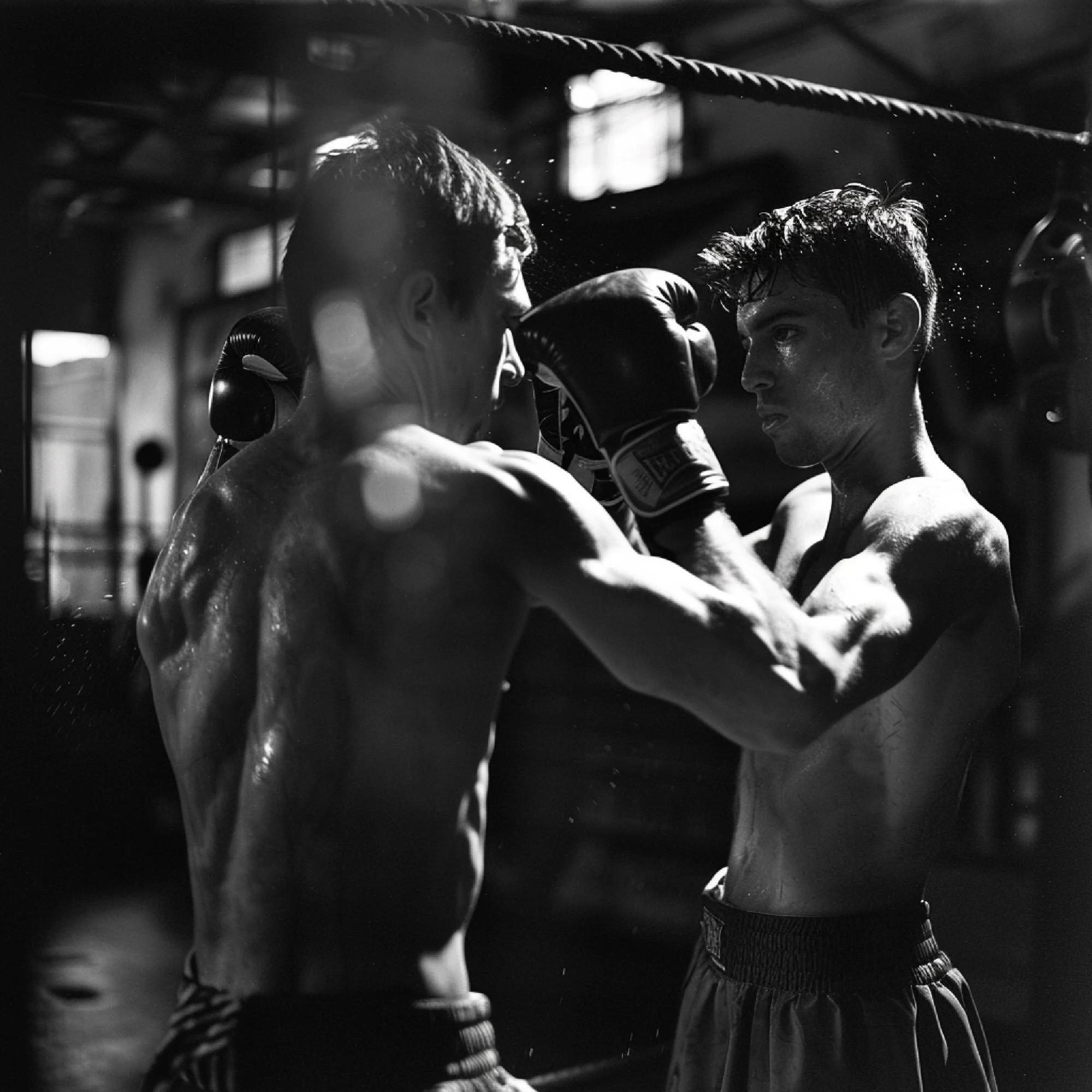 freepik upload 73580